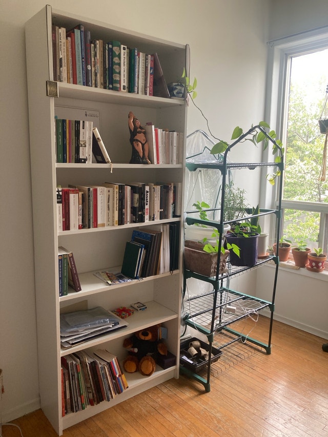 White Bookcase from IKEA