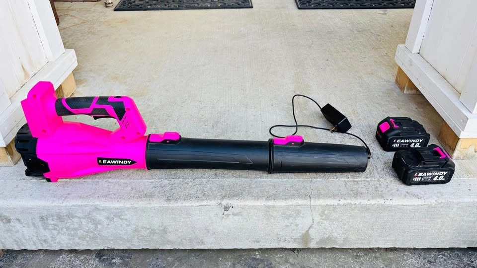Leawindy Cordless Electric Leaf Blower w/ 2 Batteries