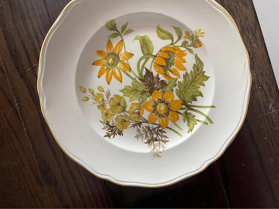 Made in England 6 plates - English ironstone brand - meadow view - photo 4