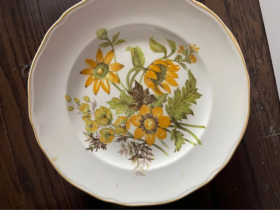 Made in England 6 plates - English ironstone brand - meadow view - photo 5