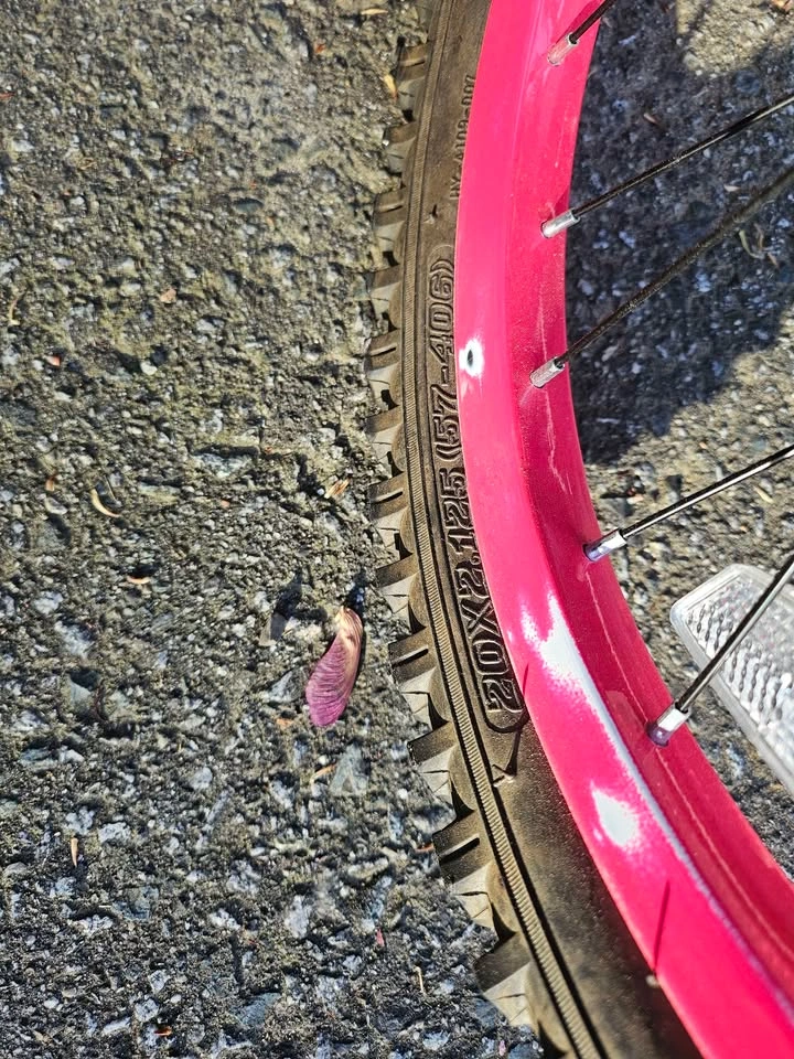 Girls bike! 🚲💗🌷 - photo 5