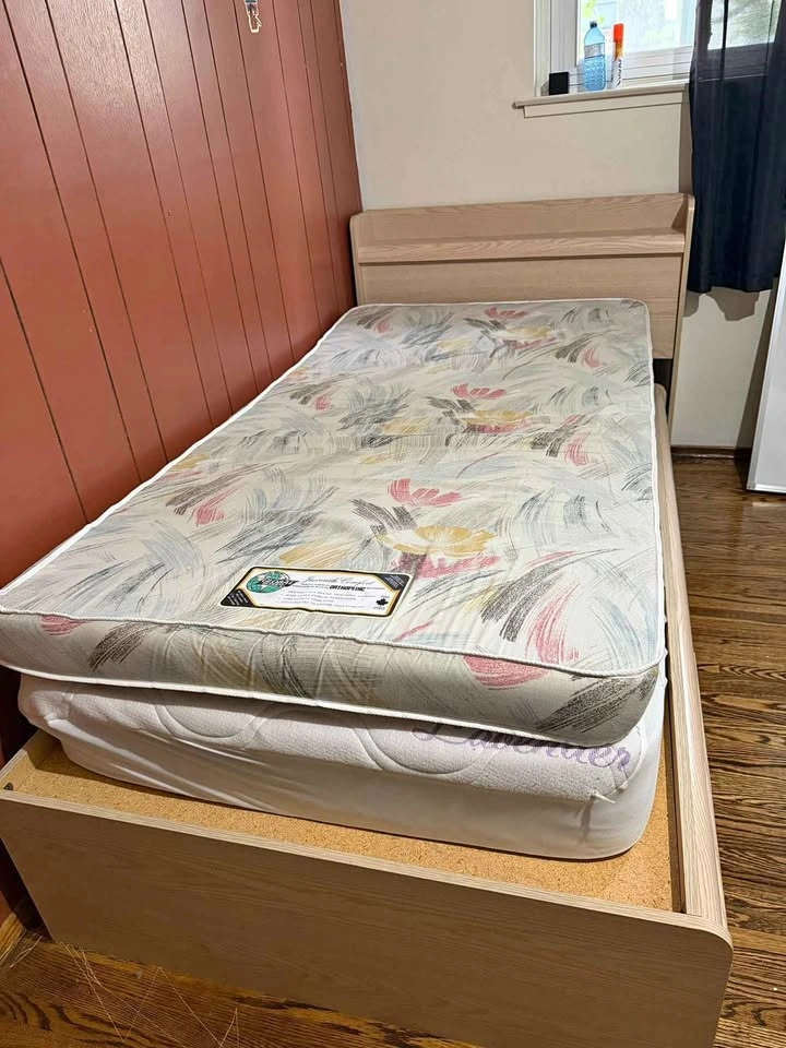 Twin Bed Frame with Drawers and Mattresses