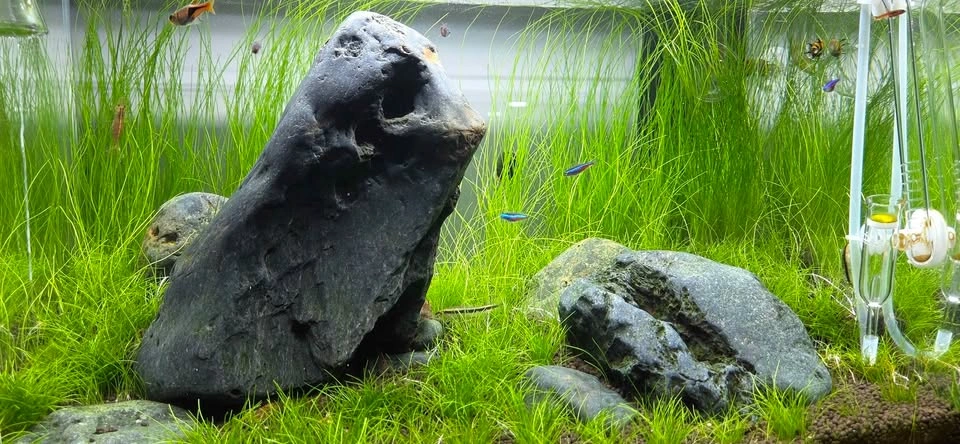ADA ES-150 Aquarium Filter - photo 2