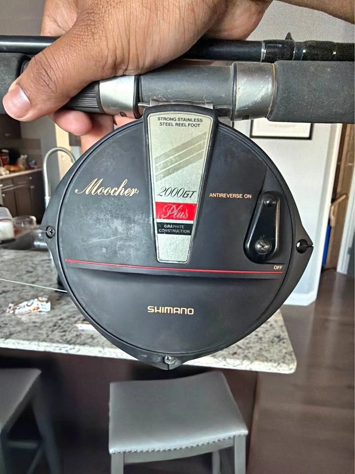 Shimano Moocher Plus 2000GT Reel + Daiwa Firewolf Rod Combo