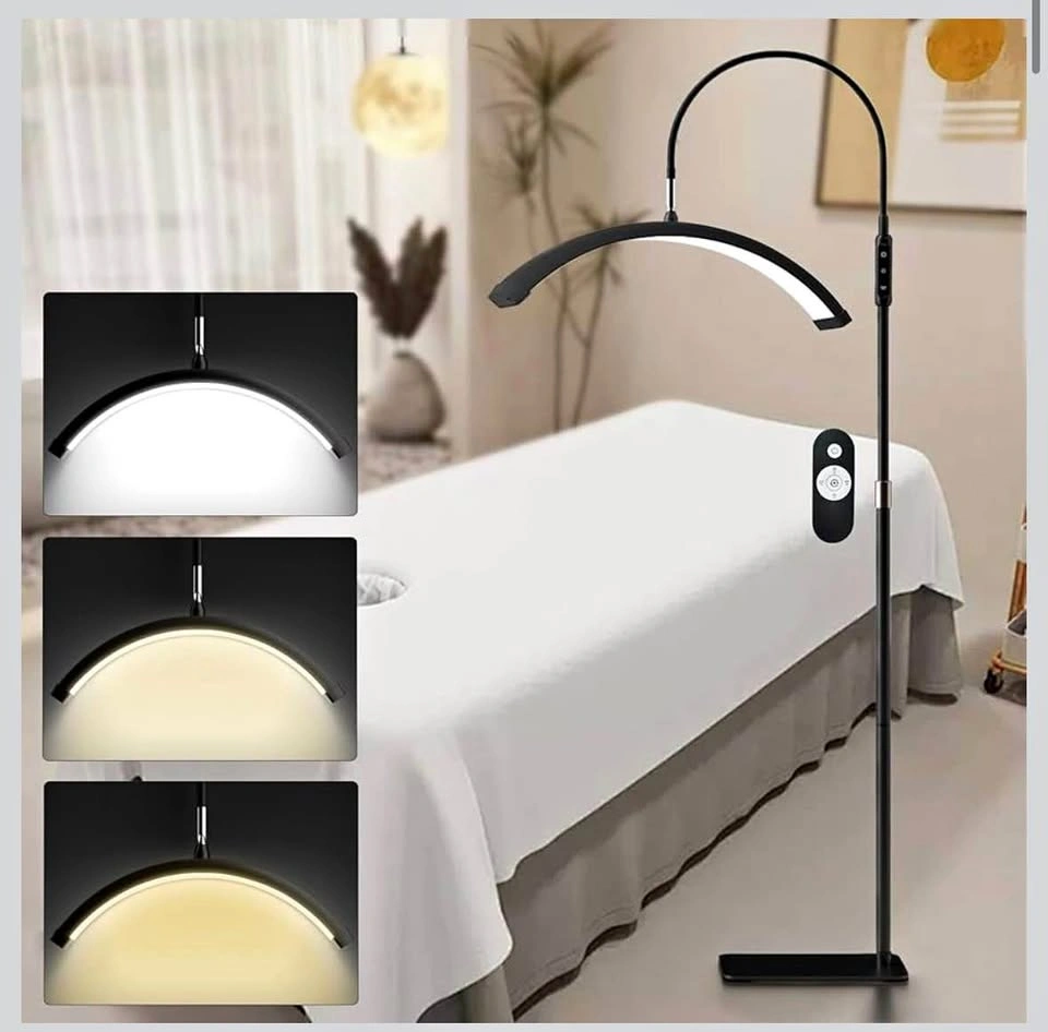 LED Half Moon Floor Lamp with Remote
