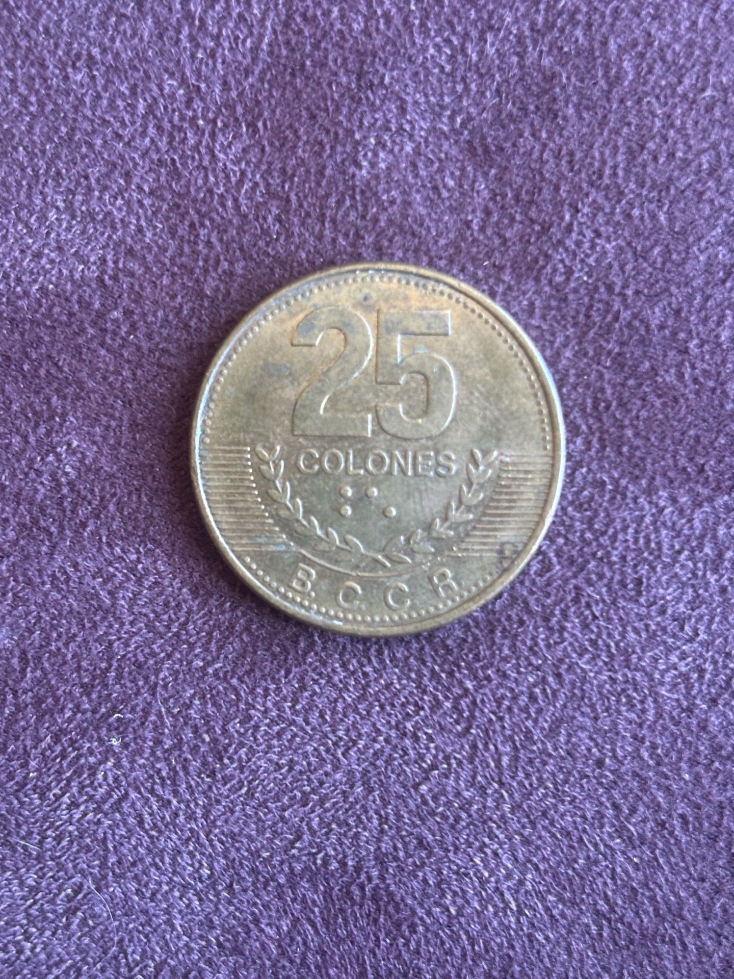 Money/Currency Not Free - photo 4