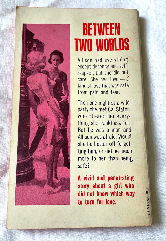 Sloan Britton THE DELICATE VICE Vintage Sleaze Paperback Book - photo 4