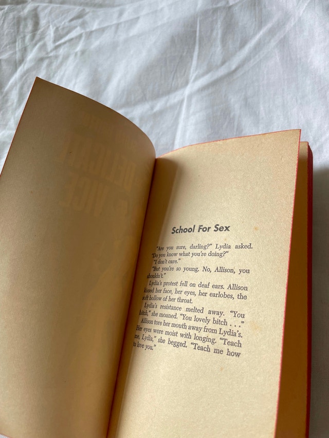 Sloan Britton THE DELICATE VICE Vintage Sleaze Paperback Book - photo 5
