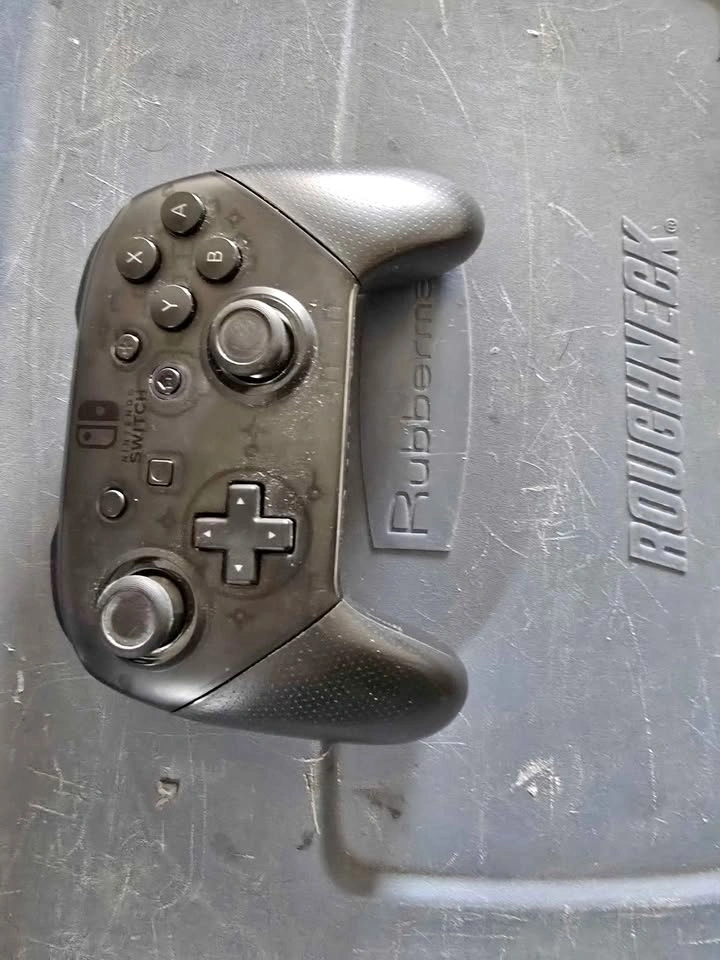 Switch Pro Controller