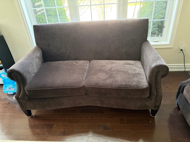 Love seat couch