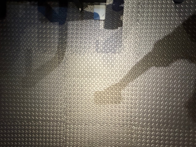 Home Gym with 24 Floor Mats - photo 5