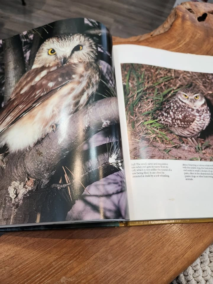First Edition Birds of Canada Vintage Coffee Table Book - photo 5