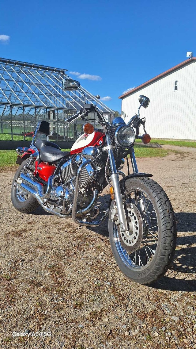 1996 Yamaha Virago 535cc