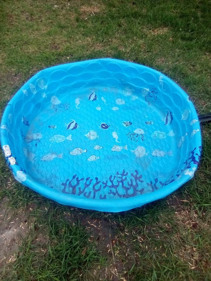 Blue Plastic Sea Life Kiddie Pool