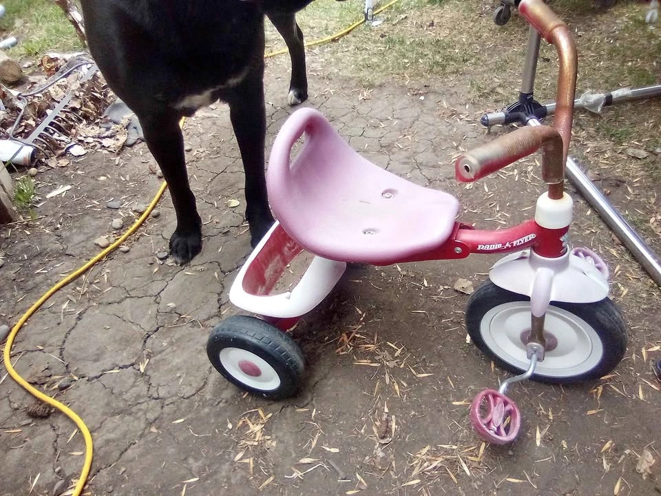 Radio Flyer Tricycle