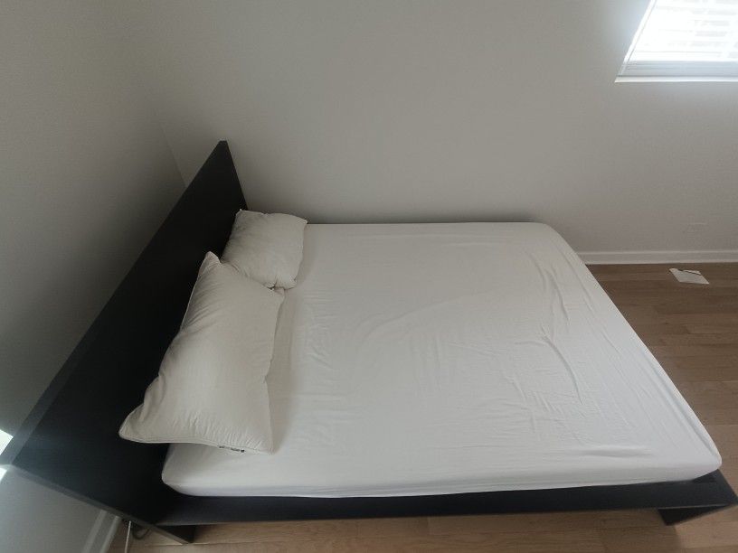 IKEA MALM Queen Bed Frame Black-Brown