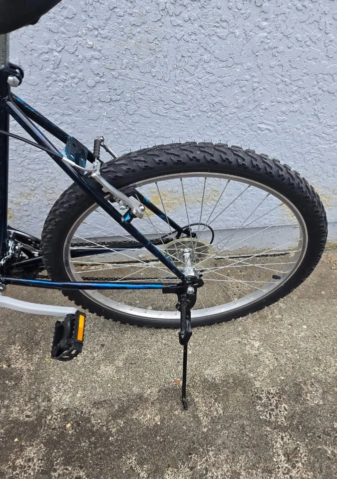 Triumph Frenzy 18-Speed Mountain Bike - photo 4