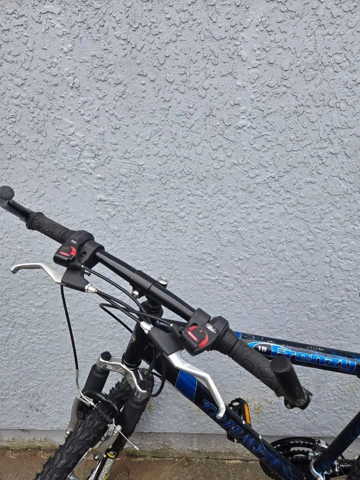 Triumph Frenzy 18-Speed Mountain Bike - photo 5