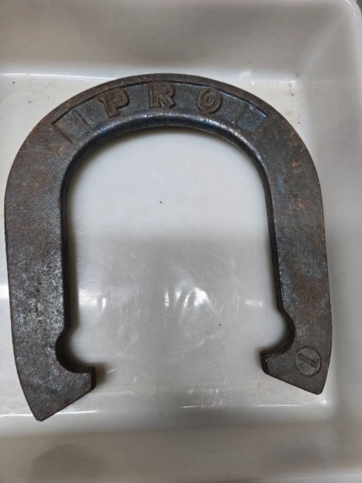 Heavy-Duty Horseshoes (Set of 3) - photo 2