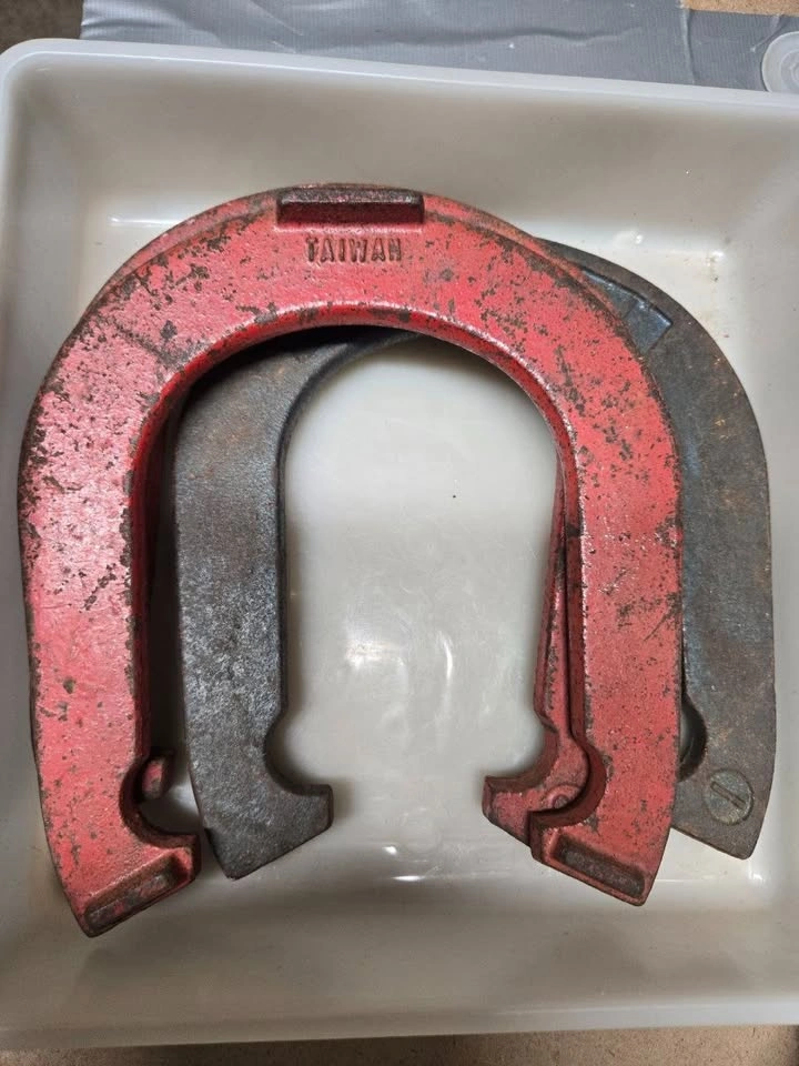Heavy-Duty Horseshoes (Set of 3) - photo 3