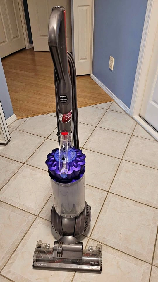 Dyson DC66 Animal Upright Vacuum - Powerful Suction!