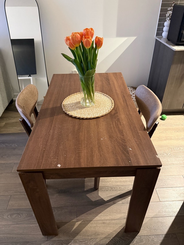 Modern Dark Wood Dining Table