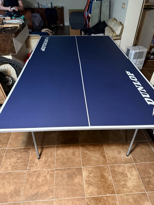 Table Tennis - photo 2