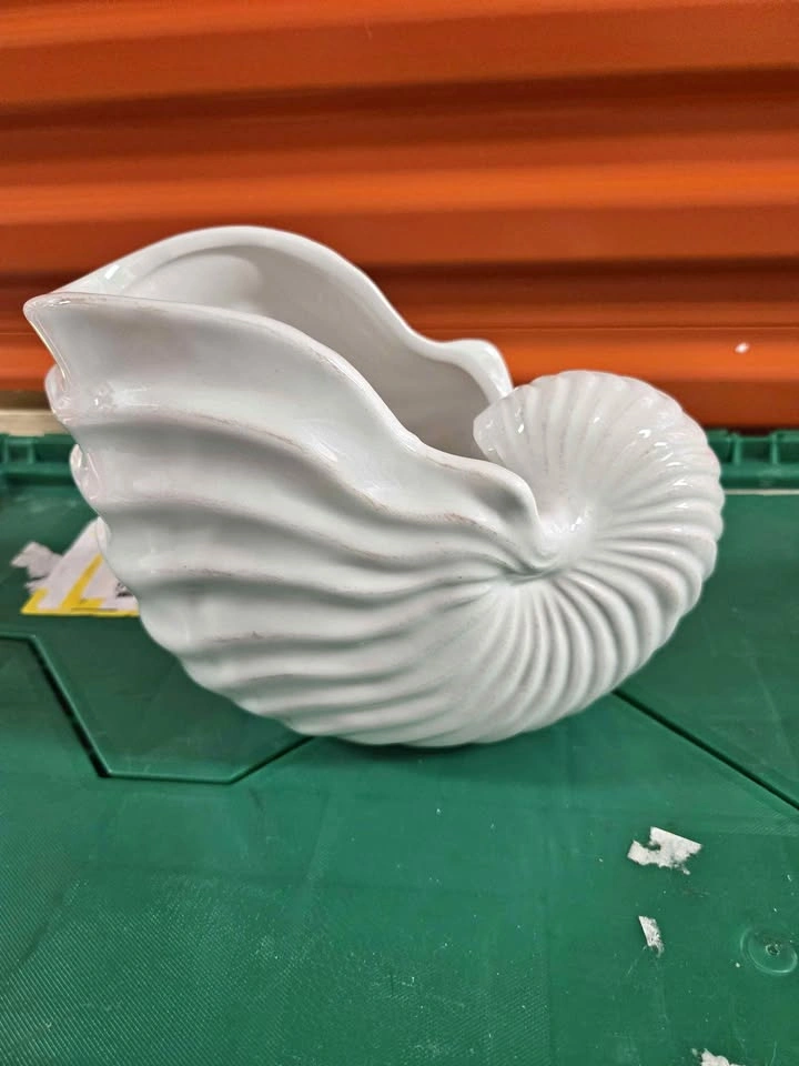 White Ceramic Nautilus Shell Planter