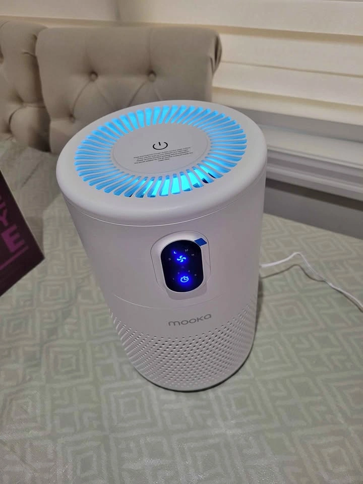 Air Purifier for Large Room