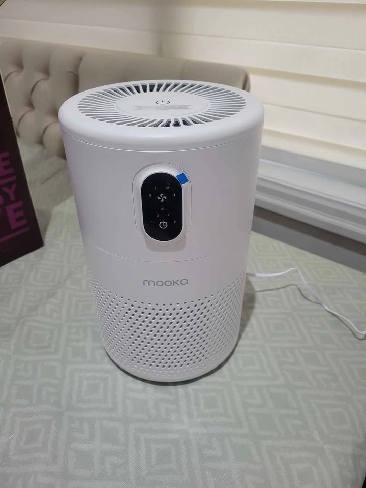 Air Purifier for Large Room - photo 4