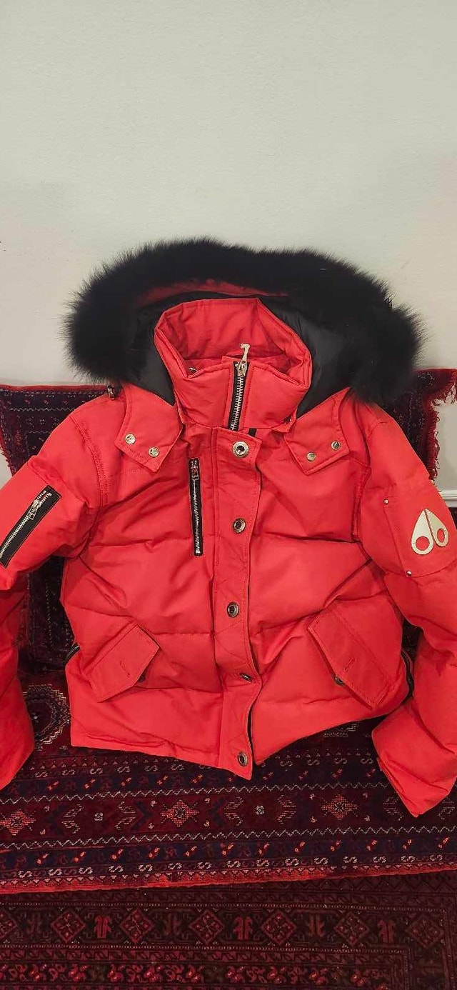 Moose Knuckles Jacket
