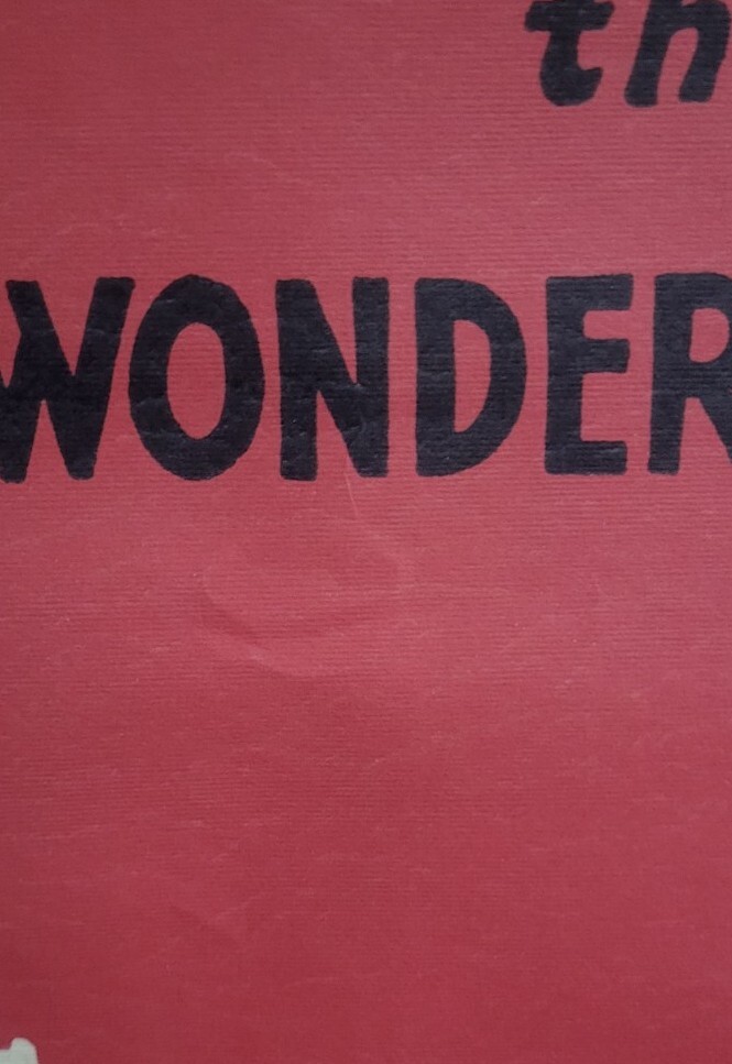 NEW YORK THE WONDER CITY Poster on Italian paper - 2012 Cavallin - photo 3
