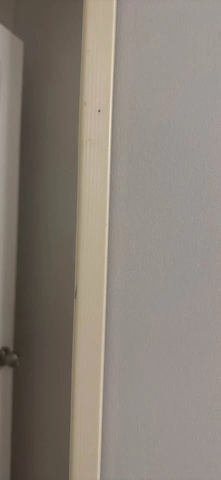 Full Length Narrow Wall Mirror - photo 4