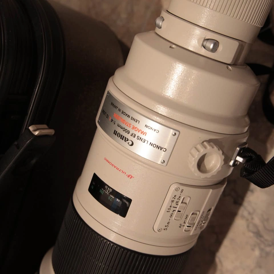 Canon EF 600mm f/4 L IS USM Lens with Hard Case - photo 2