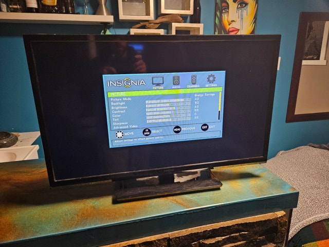Insignia 32" LED TV - Model NS-32D20SNA14 - Great Condition!