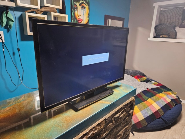 Insignia 32" LED TV - Model NS-32D20SNA14 - Great Condition! - photo 2