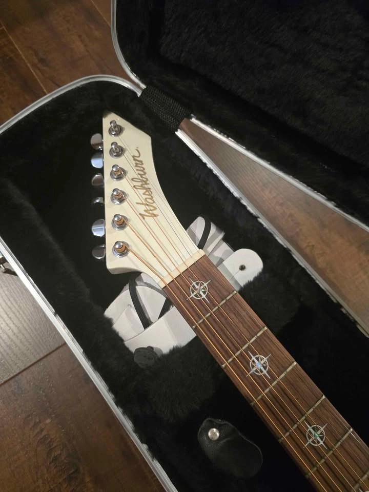 Washburn EA21HMWHK Acoustic-Electric Guitar - photo 2