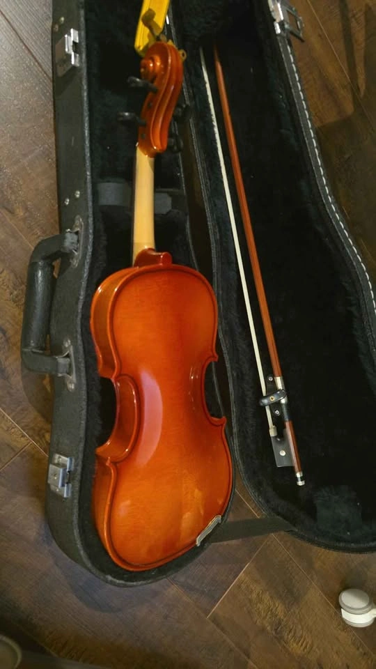 Shimro 1/4 size Violin - photo 4