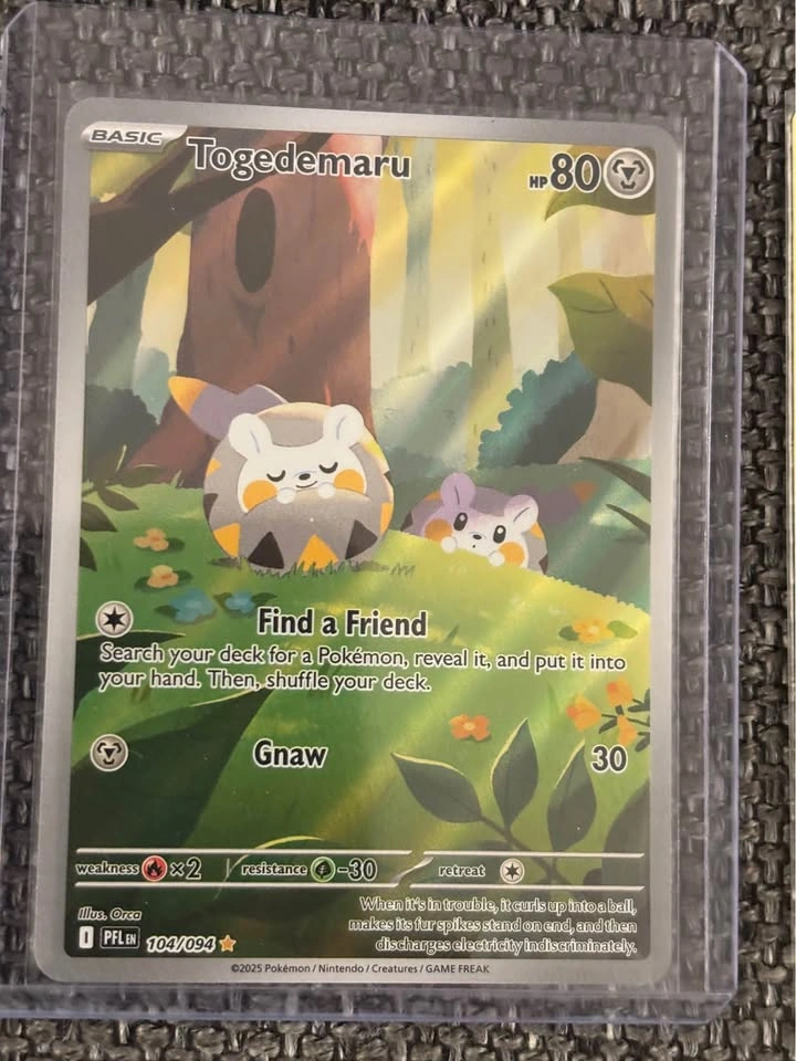 Pokemon TOGEDEMARU 🦔 - photo 2