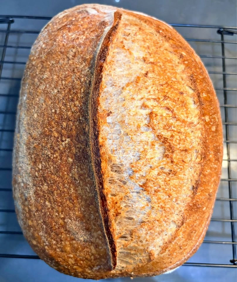 Rustic Whole Wheat Sourdough