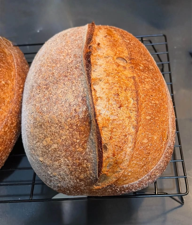 Rustic Whole Wheat Sourdough - photo 2