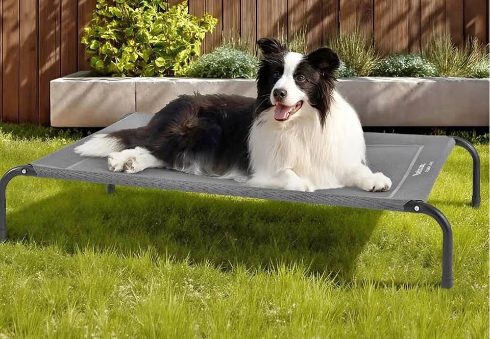 Elevated Dog Bed