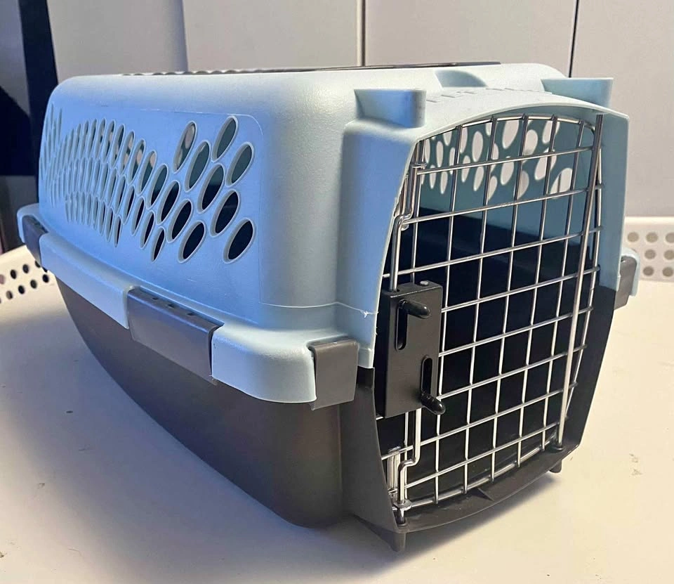 Petmate Blue and Gray Pet Carrier