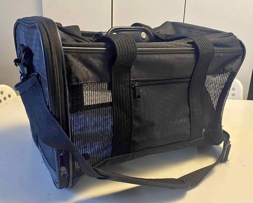 Black soft pet carrier