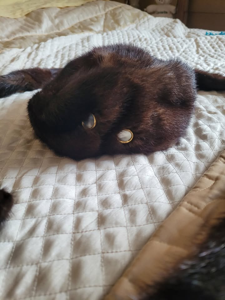 Vintage mink hat