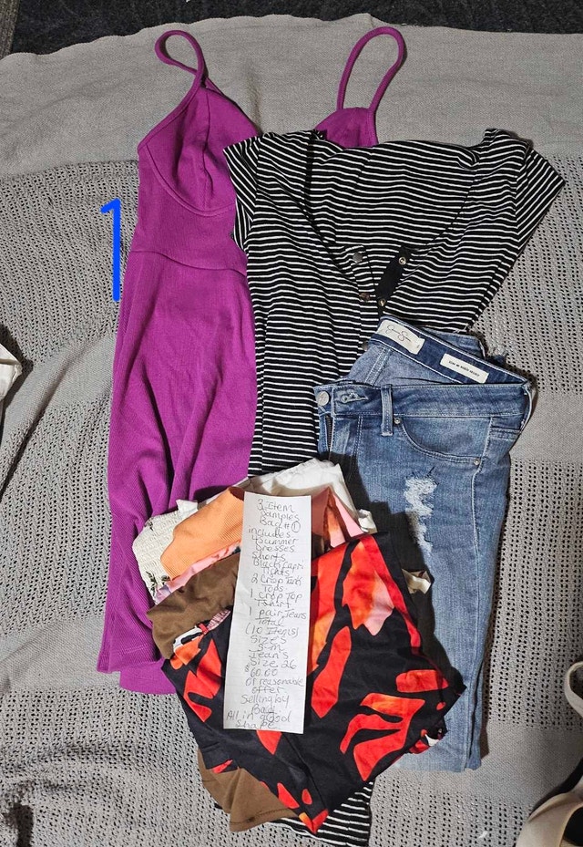 Women's Clothing Bags - Like New!