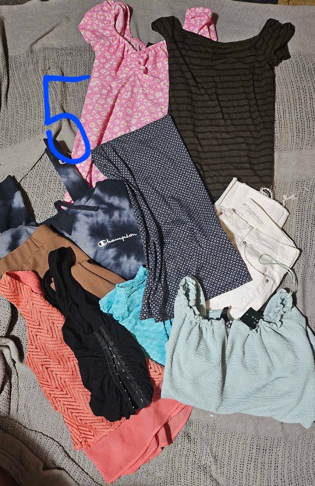 Women's Clothing Bags - Like New! - photo 5