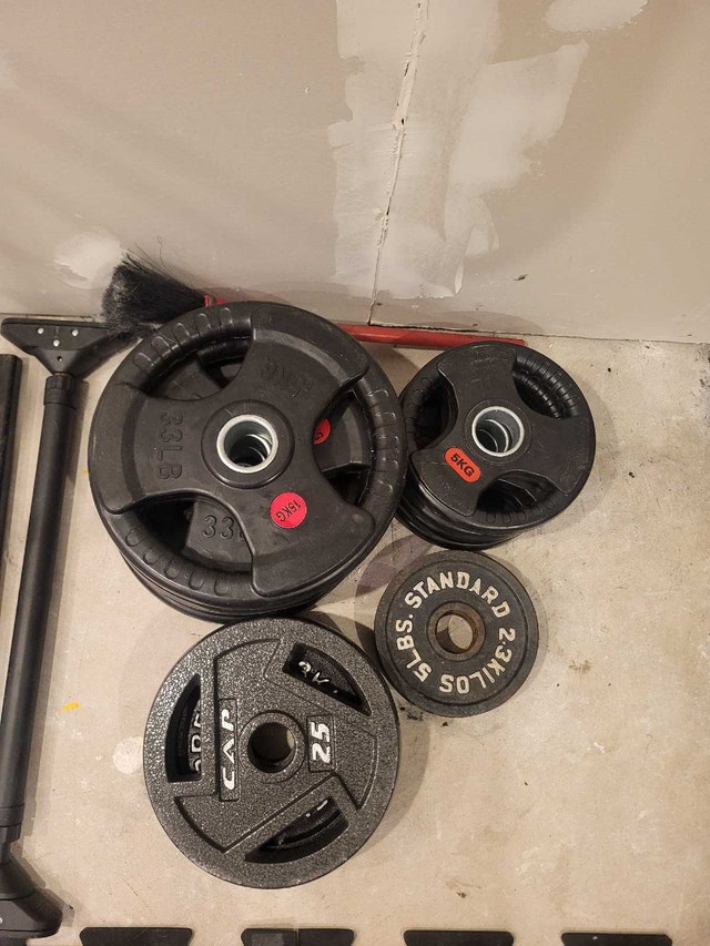 Weight Lifting Equipment - Bench Press, Pull Up Bar, Weights - photo 2