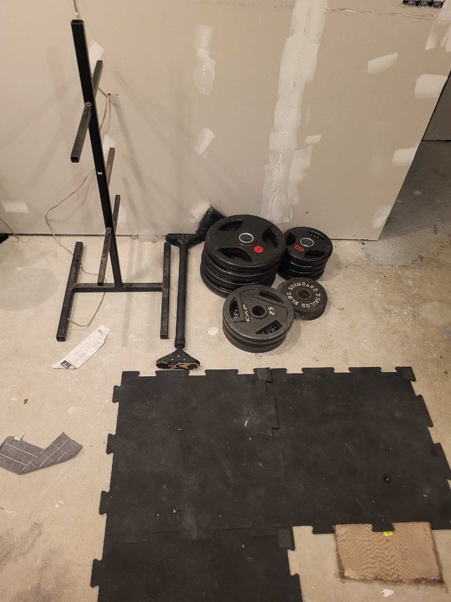 Weight Lifting Equipment - Bench Press, Pull Up Bar, Weights - photo 3