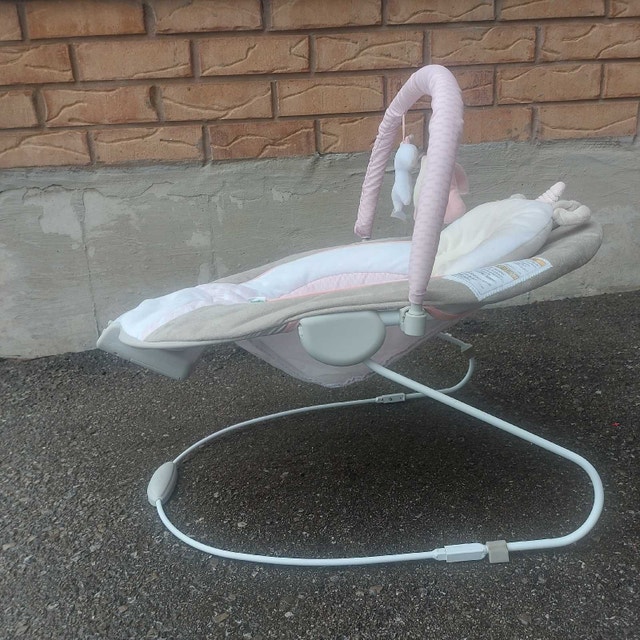Ingenuity Musical Baby Rocker